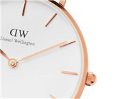 Orologio Daniel Wellington Donna  Petite Rosewater in Acciaio placcato oro rosa DW00100317 - DW00100317